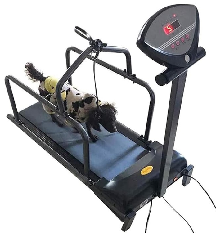 antwax dog treadmill